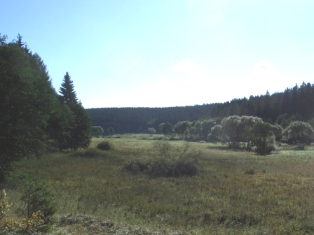 Rettet das Selketal im Ostharz Ein Hochwasserrückhaltebecken bei